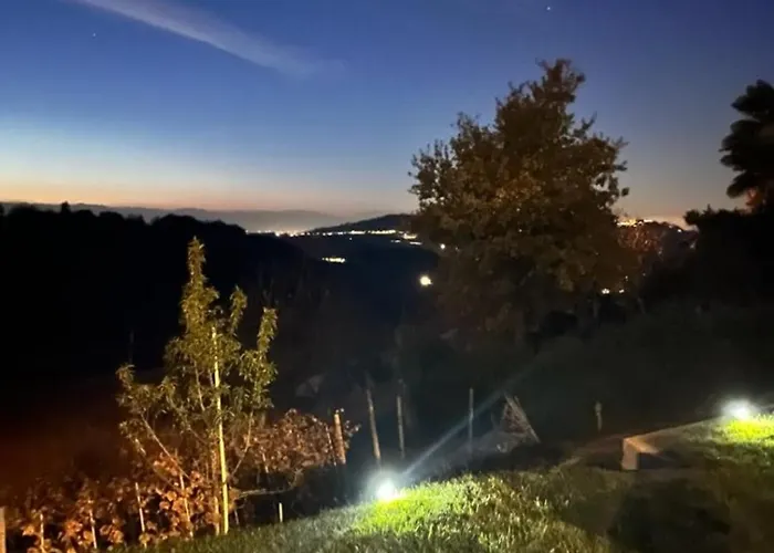 Olga Nelle Langhe * Monforte dʼAlba